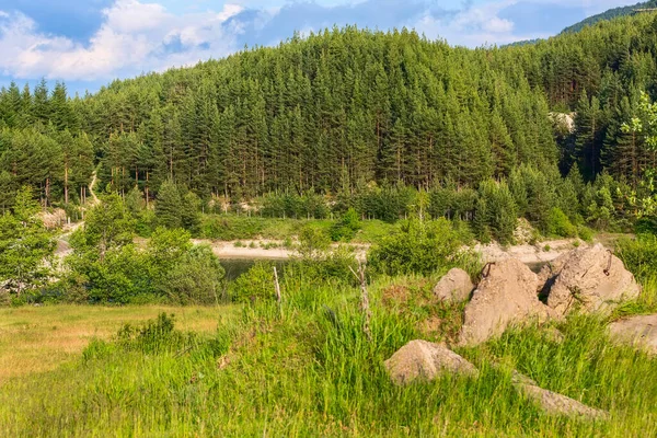 Sommerpanorama Der Krinets Staumauer Bansko Bulgarien Mit Grünen Kiefernwäldern Hintergrund — Stockfoto
