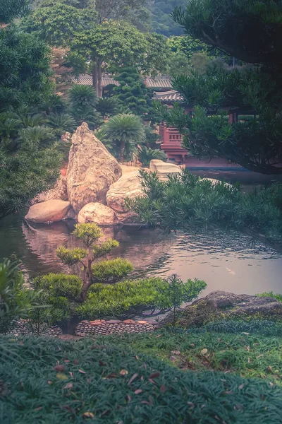 Nan Lian Garden, stone and tree composition — Stock Photo, Image