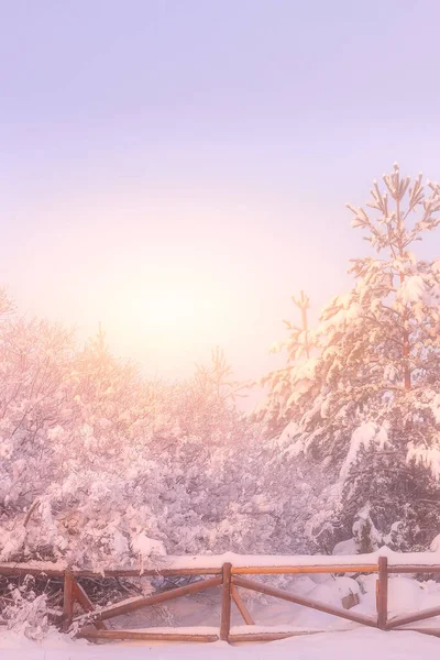 Inverno nevoeiro árvores de neve e cerca, sol — Fotografia de Stock