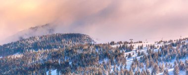 Sırbistan 'ın Kopaonik kayak beldesinde bayır manzarası