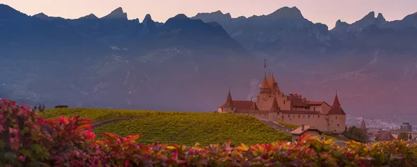 Chateau dAigle no cantão de Vaud, Suíça — Fotografia de Stock
