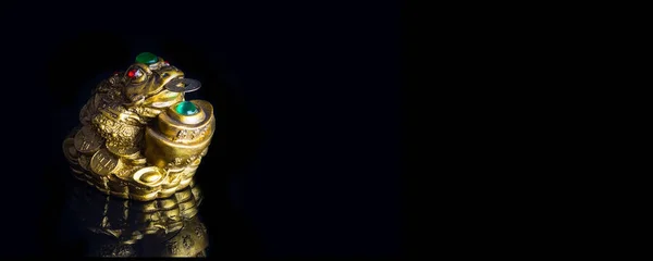 Fengshui Money Frog with the coin black banner — Stock Photo, Image