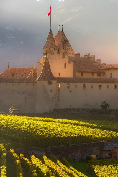 Chateau dAigle in canton Vaud, Switzerland — Stock Photo, Image