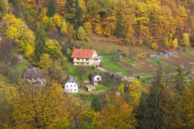 Dağ köyü, sonbahar ormanı ağaçları, Slovenya