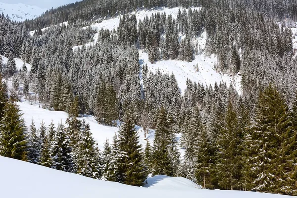 Panoramik kış Alp Dağları manzarası