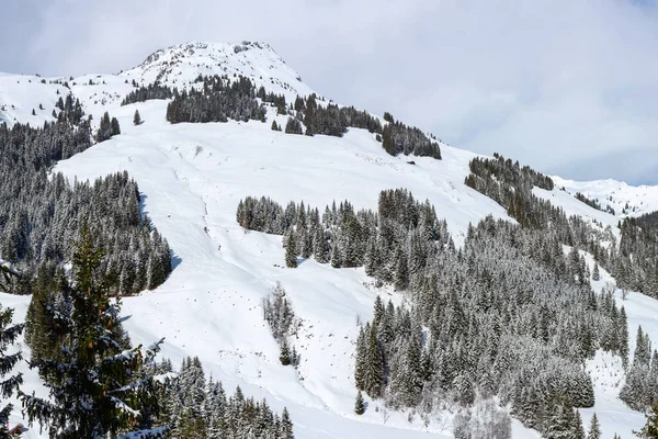 Geniş manzara, kış Alp Dağları manzarası
