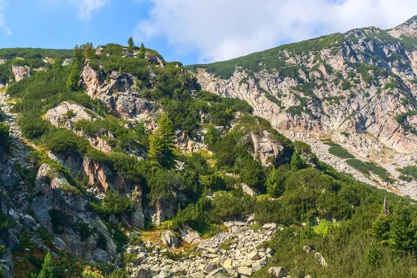 Pirin mountains and pine trees panorama of bulgarian ski resort Bansko, Bulgaria