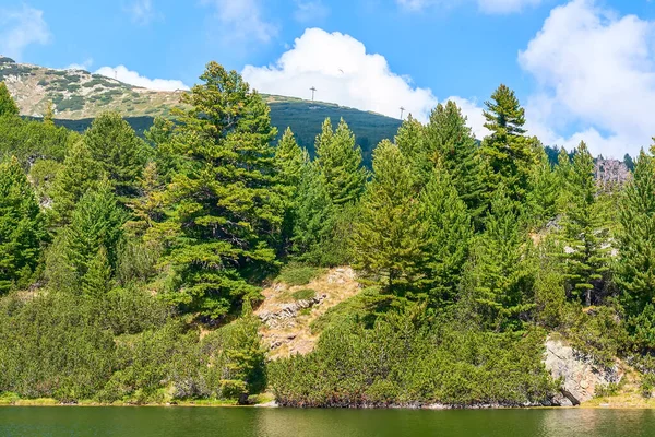 Karkamski Lake Bulgaria Pine Trees Forest Todorka Ski Lift Summer — 图库照片