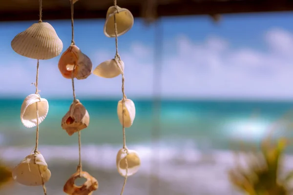 Nautical style hanging seashells decoration — Stock Photo, Image