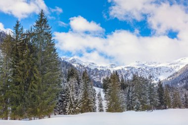 Dağlarda panoramik kış manzarası