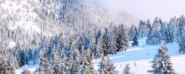 Kayak merkezi, bayır panoraması, Kopaonik, Sırbistan