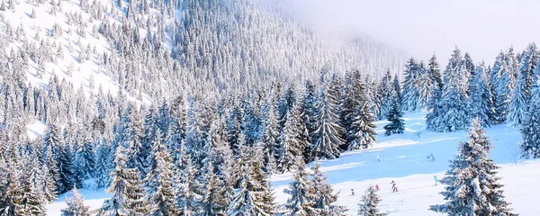 Estância de esqui, panorama da faixa de declive, Kopaonik, Sérvia — Fotografia de Stock