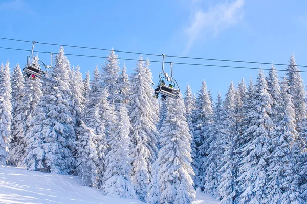 Панорама лыжного подъемника и снежных деревьев зимой — стоковое фото