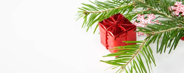 Ramo de pinho, banner de caixa de decoração de Natal vermelho — Fotografia de Stock