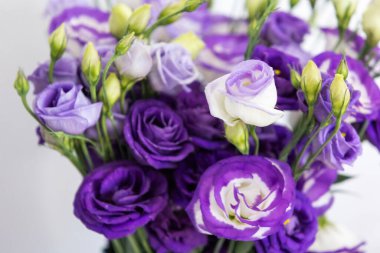 Beyaz arkaplanda mor gül buketi