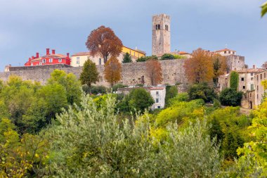 Hırvatistan 'ın Istria kentindeki büyüleyici Motovun köyünün manzarası.