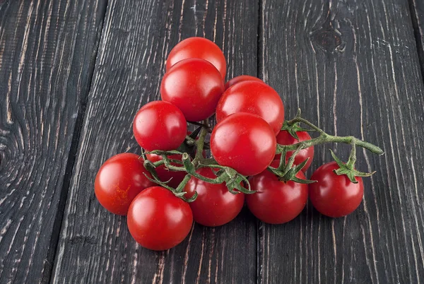 Twee takken van cherry tomaten — Stockfoto