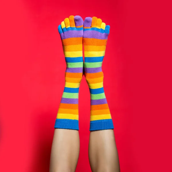 Legs Funny Socks Bright Red Background — Stock Photo, Image