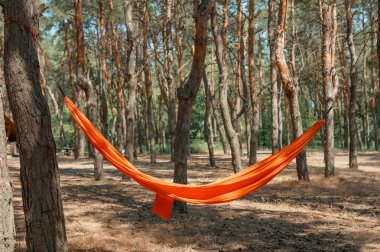 Orman hamakta boş asılı 