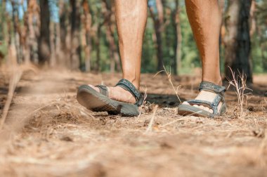 Bacaklar bir gezgin bir yürüyüş turu üzerinde