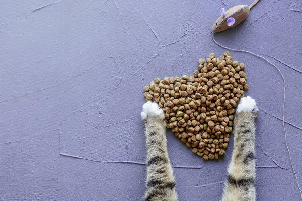 Αστεία Γατάκι Paws Τραγανή Γατάκι Γεύμα Στο Σχήμα Της Καρδιάς — Φωτογραφία Αρχείου