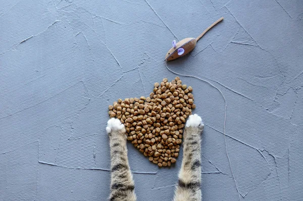 Αστεία Γατάκι Paws Τραγανή Γατάκι Γεύμα Σχήμα Καρδιά Πάνω Από — Φωτογραφία Αρχείου