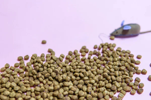 Kitten food and cat toy on pink background