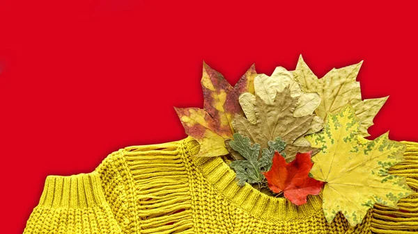 Yellow sweater and autumn leaves isolated over red background. Hello or goodbye autumn concept