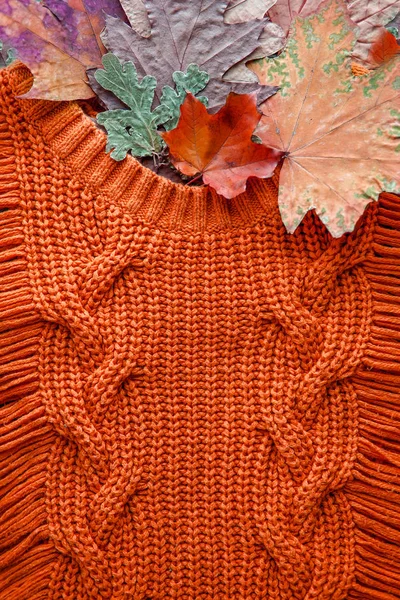 Knitting sweater and autumn leaves background