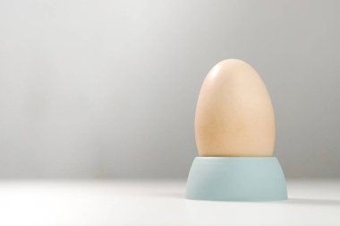 Tavuk yumurta yumurta Kupası üzerine açık gri renkli