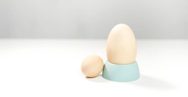 Organik yumurta yumurta Kupası ile arka plan üzerinde yumurta