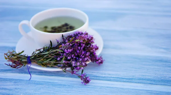 Tisane Saine Avec Bouquet Thym Sauvage Frais — Photo