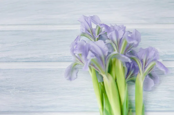 Vår Bakgrund Med Beauitful Blommor Över Trä Bakgrund Banners Tapet — Stockfoto