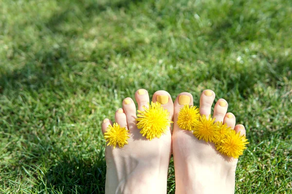 Funny feet with dandelion between toes lying in meadow relaxing in summer sunshine
