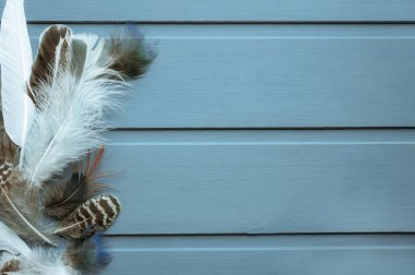 Ahşap arka planda birçok farklı tüy