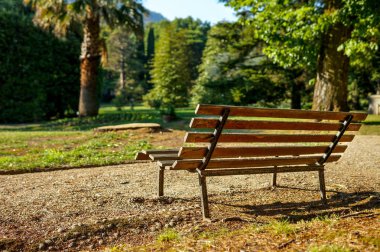 Güneşli bir günde bir parkta yalnız tezgah