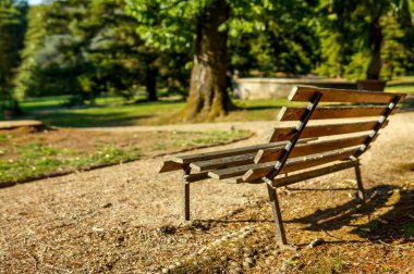 Güneşli bir günde bir parkta yalnız tezgah