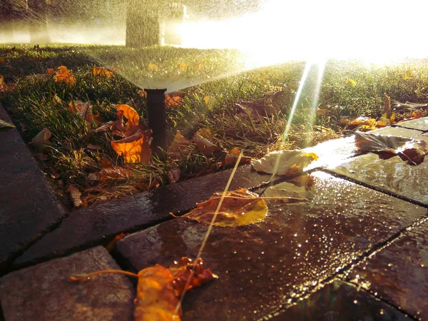 Осенний Парк Освещается Заходящим Солнцем Автоматический Полив Распыляет Воду Красочный — стоковое фото