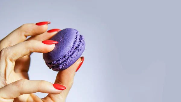 Comer Macarões Mão Feminina Segurando Macarons Sobre Fundo Cinza — Fotografia de Stock