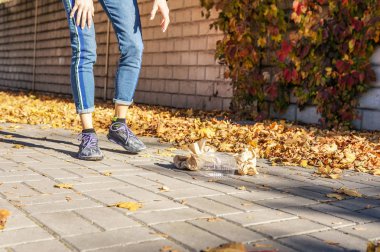 çöp kavramı toplama