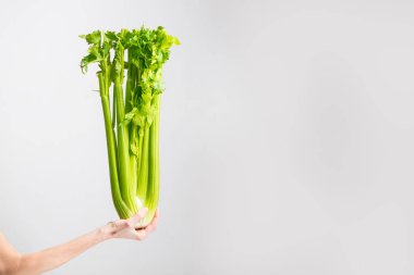 Elinde yeşil taze kereviz tutan bir kadın. Sağlıklı beslenme, vejetaryen yemekleri, diyet ve insanlar konsepti
