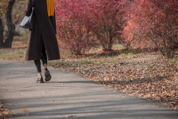 Kvinna Promenader Ensam Park Höst Landskap — Stockfoto