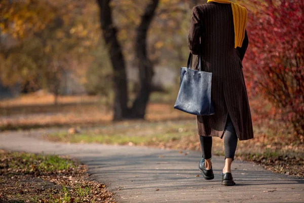Modna Jesienna Kobieta Modnym Stroju Jesiennym Spacerując Jesiennym Parku — Zdjęcie stockowe