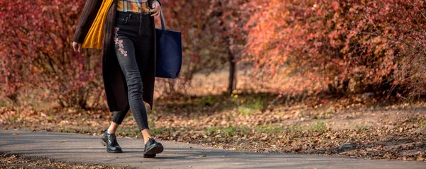 Модная Осенняя Женщина Трикотажном Осеннем Наряде Прогуливается Осеннему Парку — стоковое фото
