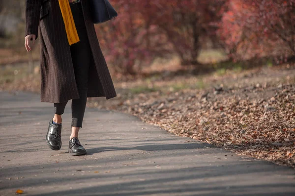 Kapalı Bacaklar Şık Kadınlar Siyah Ayakkabılar Kahverengi Palto Giyerler Şık — Stok fotoğraf