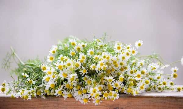 Kamomill Blommor Trä Bakgrund — Stockfoto
