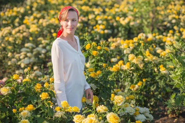 Vacker Kvinna Bär Röd Slöja Vit Blus Står Blommande Rosor — Stockfoto