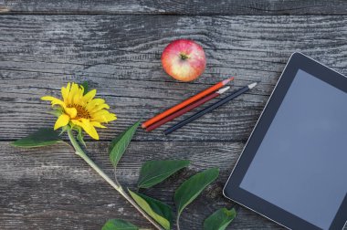 Evde online ödev eğitimi, karantina sırasında sosyal mesafe, kendini izole etme, çevrimiçi eğitim konsepti, evde eğitim.