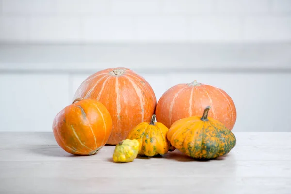 Orange halloween pumpkins in white kitchen, holiday decoration