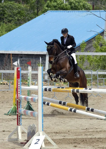 Vladivostok Primorsky Krai Rússia 2018 Ano Cavaleiros Cavalo Superar Obstáculos — Fotografia de Stock